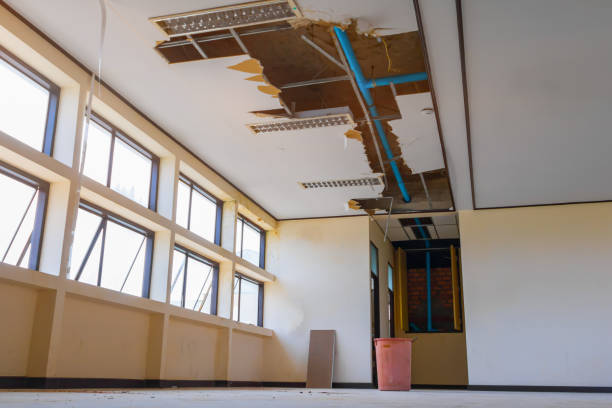 Best Flood restoration services  in Crab Orchard, WV