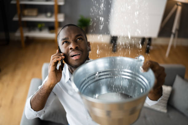 Best 24/7 water damage repair  in Crab Orchard, WV