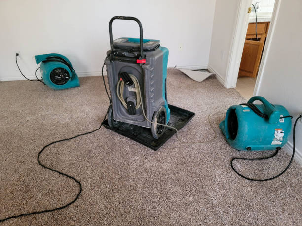 Best Mold removal after water damage  in Crab Orchard, WV