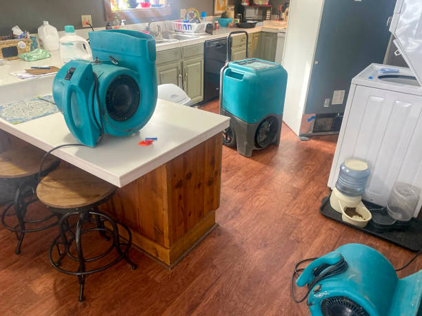 Best Water damage contractors near me  in Crab Orchard, WV