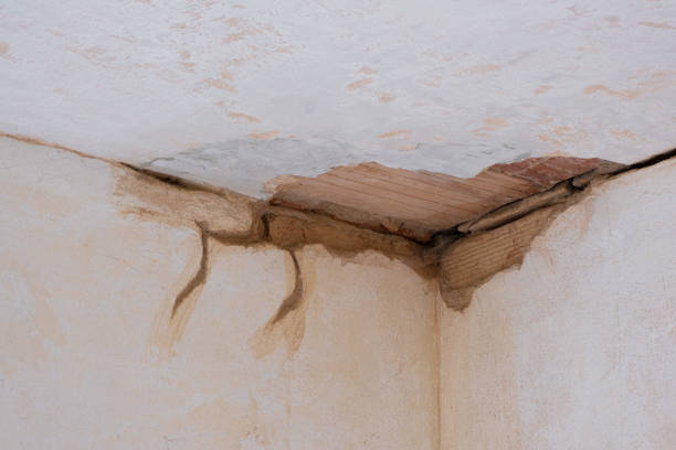 Best Water damage restoration process  in Crab Orchard, WV