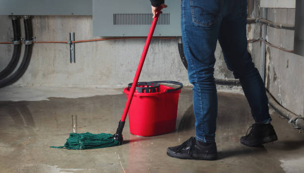 Best Water damage restoration services  in Crab Orchard, WV