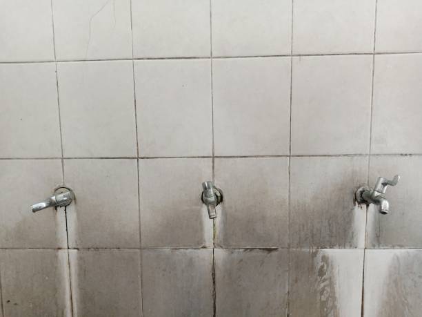 Best Commercial water damage restoration  in Crab Orchard, WV
