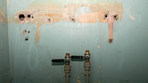 Best Fire Damage Restoration  in Crab Orchard, WV