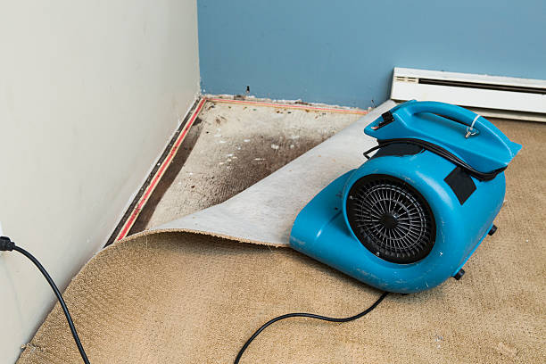 Best Water damage restoration process  in Crab Orchard, WV